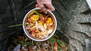 Kompostowanie zimą powinno przebiegać według określonych zasad. Jak uzyskać dobry nawóz na wiosnę?