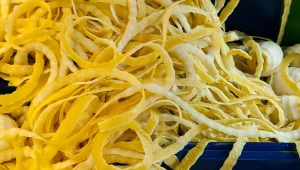 W skórce cytryny, a także jej miąższu, znajduje się limonen, związek odpowiedzialny za jej charakterystyczny zapach.