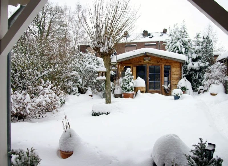 Duża okrywa śniegowa wygląda atrakcyjnie, ale to prawdziwe wyzwanie dla wielu roślin