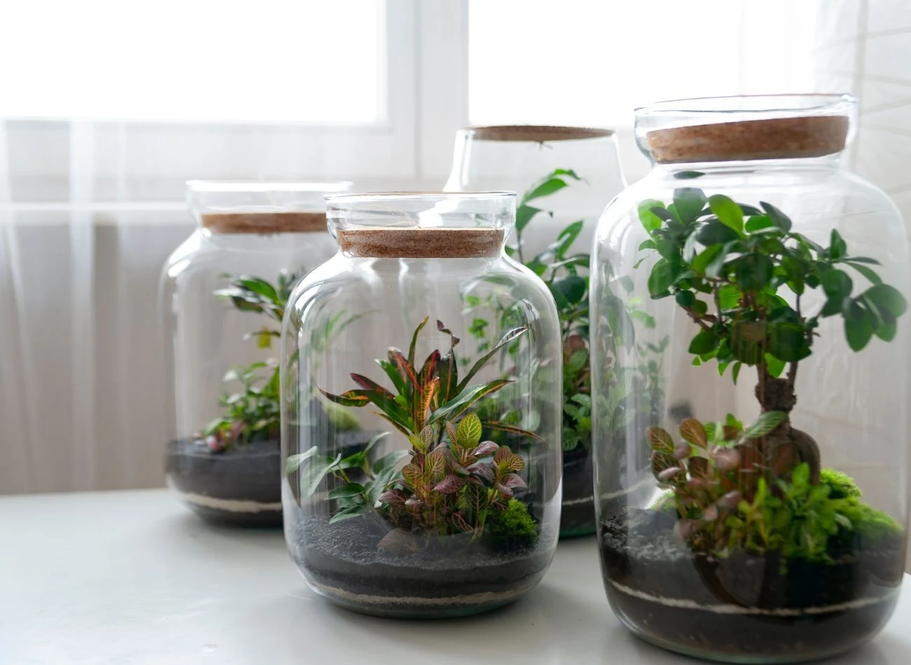 Węgiel aktywny to jeden z podstawowych elementów podłoża lasu w słoiku.