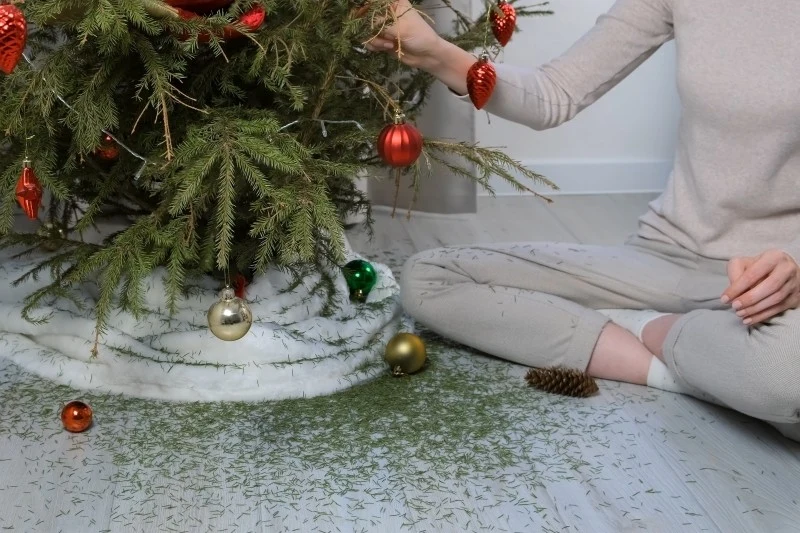 Opadanie igieł choinki może mieć różne przyczyny