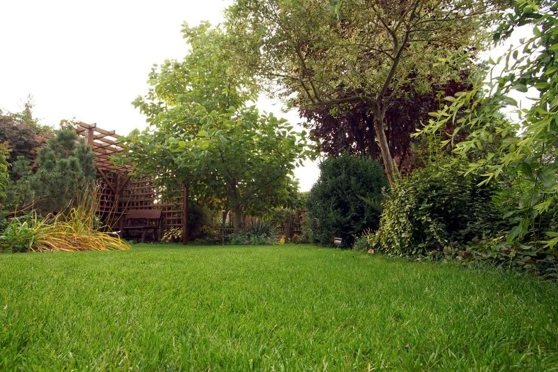 Łagodna zima przedłuża okres wegetacji traw