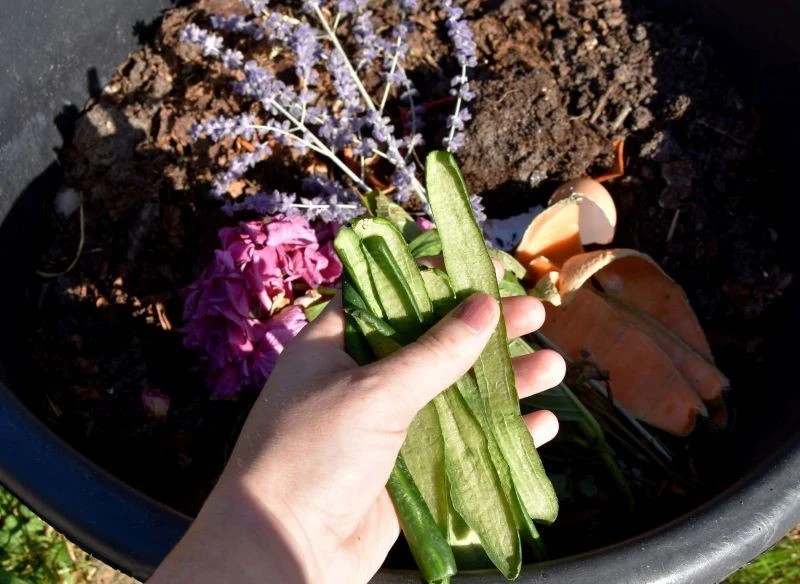 Nie wszystkie resztki kuchenne powinny trafić do kompostownika