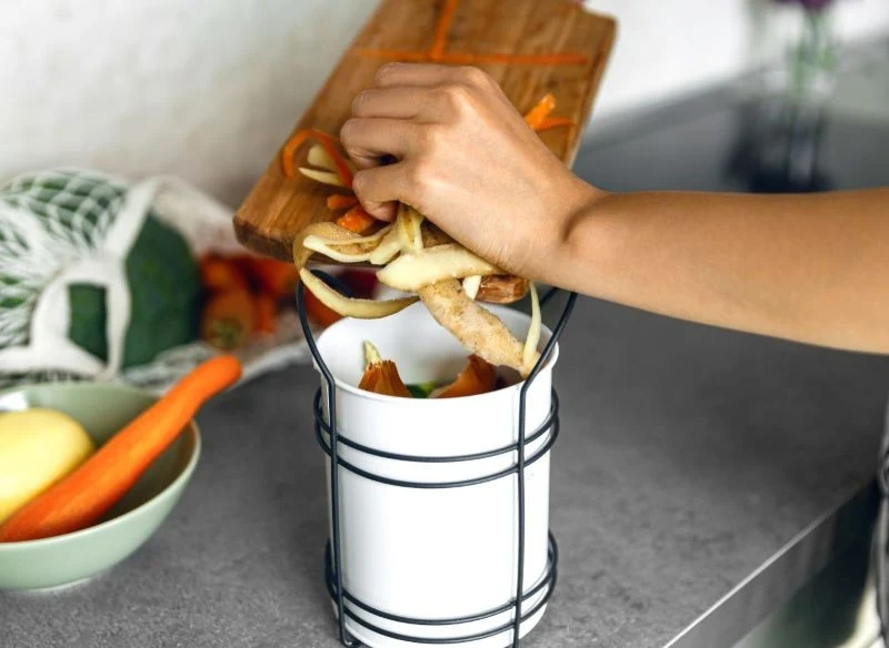 Na kompost możemy wyrzucać np