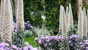 Poznaj trendy 2025 - ogrody maksymalistyczne z feerią nierealistycznych kolorów to nie wszystko.