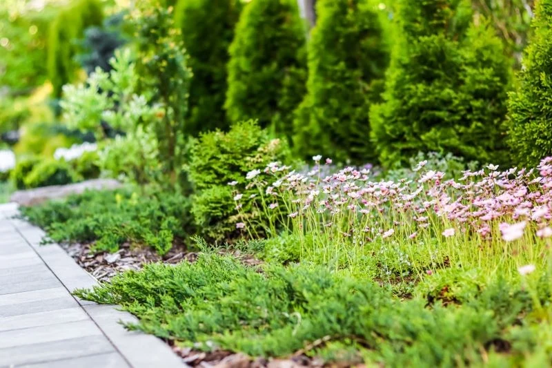 Obok wielkoformatowych płyt królują rośliny zadarniające zamiast trawy