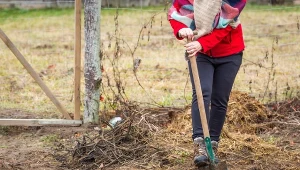 To już ostatni dzwonek na wapnowanie gleby. Tą techniką najlepiej przygotujesz ogród na wiosnę