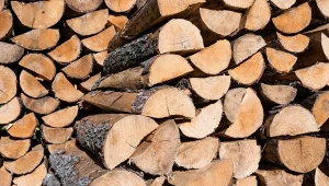 Grab, buk czy jesion? Które drewno jest najbardziej kaloryczne?