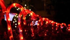 Migoczące światełka w domu i ogrodzie - czy to się opłaca? Ceny prądy rosną, ale nikt nie chce rezygnować, że świątecznej iluminacji.