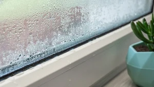 Popiół to doskonały sposób na wilgoć w domu, ale to niejedyne jego ciekawe zastosowanie.