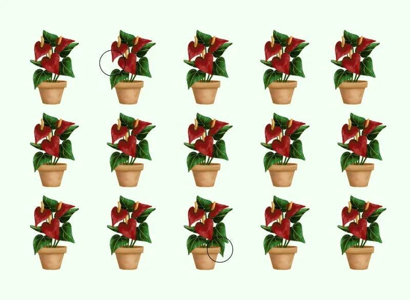 Rozwiązanie zagadki na spostrzegawczość