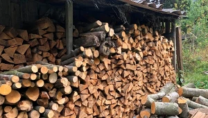 Sprawdź, jakie są ceny drewna opałowego w grudniu 2024.