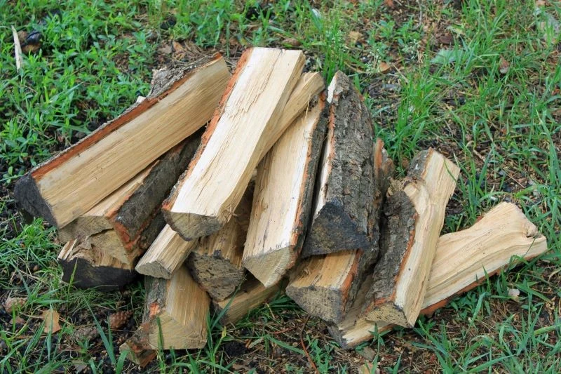 Jakie drewno jest najbardziej kaloryczne
