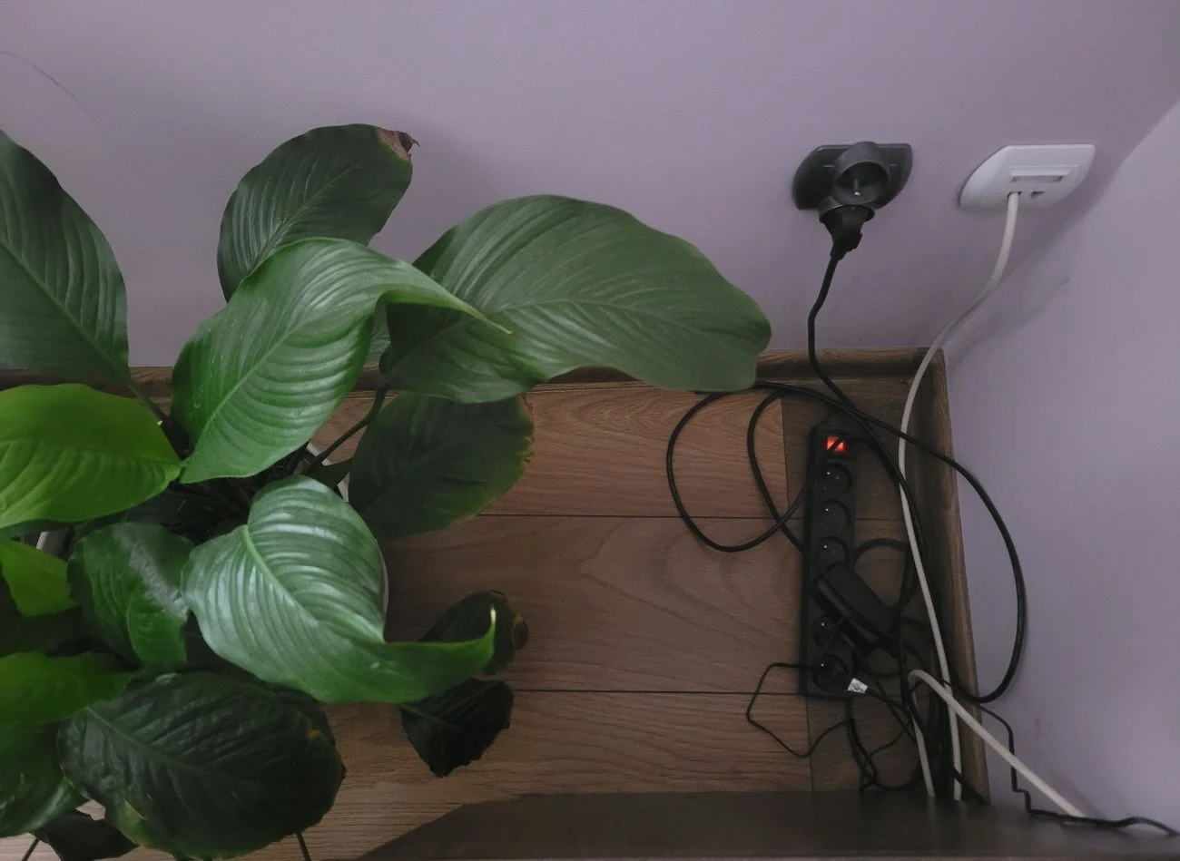 Pająki najchętniej gromadzą się w kątach i tam budują pajęczyny.