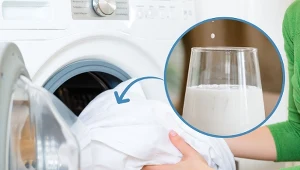 Tym prostym patentem nasze babcie zwalczały plamy na białych tkaninach.