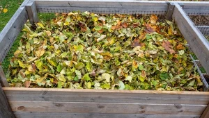 Jak zadbać o zimny kompost zimą? Co dorzucać i jak często to robić?