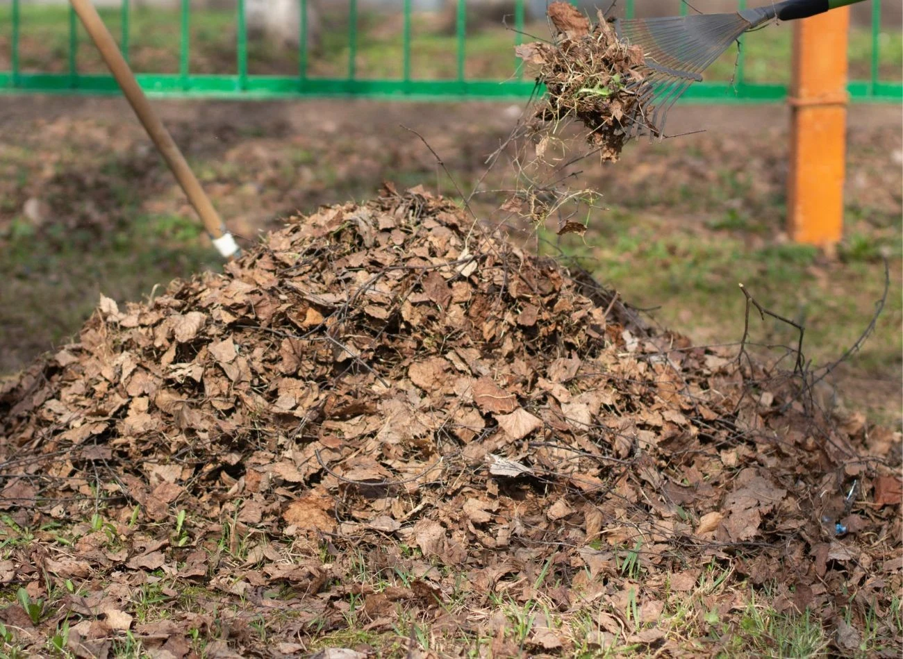 Dokładanie materiałów brązowych do zimnego kompostu, np. suchych liści, przyczyni się do jego użyźnienia.