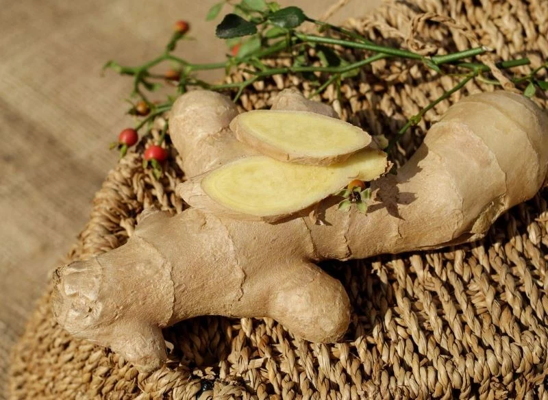 Imbir można uprawiać w doniczce w warunkach domowych