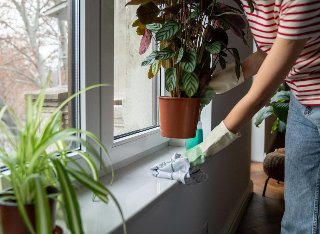 Po myciu okien nie można zapomnieć o dokładnym wyczyszczeniu parapetu.