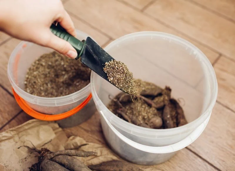 Wermikulitu możemy użyć do przechowywania podziemnych części bylin