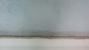 Pleśń na ścianie to nie tylko problem estetyczny, ale również zagrożenie dla naszego zdrowia.