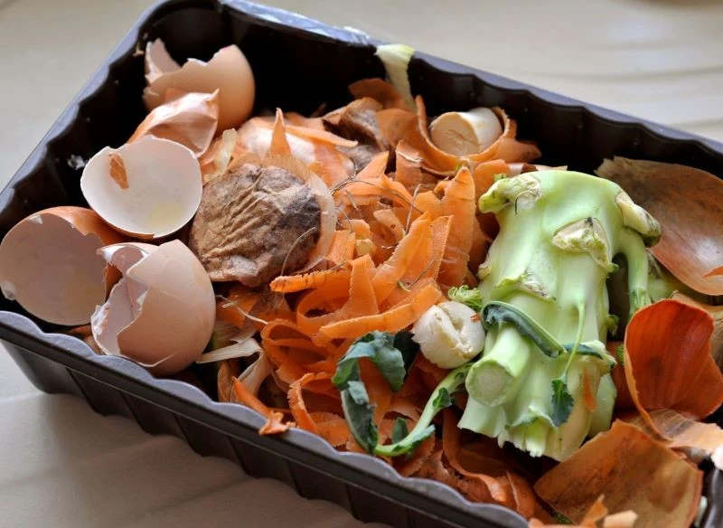 Podczas gotowania w kuchni powstaje wiele odpadków, które można przerobić na nawóz