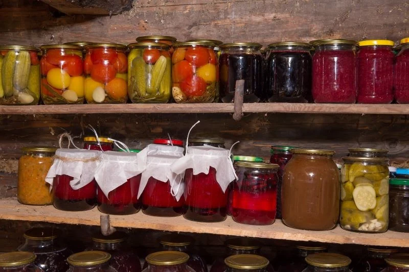 Myszy mogą dostać się do piwnicy nawet przez wąskie szczeliny