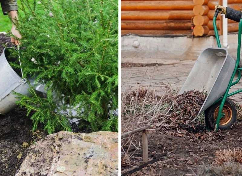 Kopczykowanie i ściółkowanie roślin kompostem, suchymi liśćmi, korą możesz rozpocząć zaraz po jesiennych porządkach