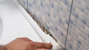 W jaki sposób wykorzystać olejki eteryczne podczas sprzątania? Bardzo dobrze radzą sobie z pleśnią.