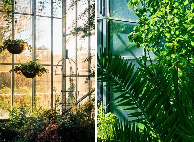 W zależności od tego, jak zaplanujesz tę przestrzeń, ogród zimowy może przypominać ciepłą, tradycyjną werandę lub fragment ogrodu botanicznego