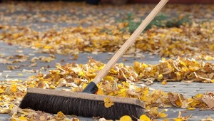 Chodniki obsypane są po brzegi. Czy za niesprzątanie liści można dostać mandat? Kto odpowiada za chodnik przy posesji?