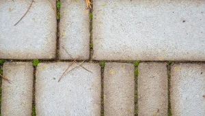 W jaki sposób jesienią pozbyć się mchu z kostki brukowej?