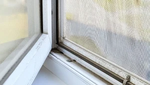 Czy na zimę trzeba ściągać moskitiery z okien? Warto to zrobić i to zanim nadejdzie prawdziwa szaruga.