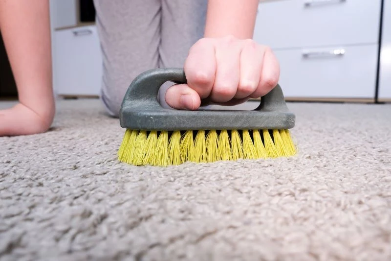 Jeśli chcemy dobrze wyczyścić dywan samodzielnie, nie powinniśmy go nadmiernie moczyć