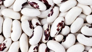 Fasola z orzełkiem została wpisana na listę produktów tradycyjnych Ministerstwa Rolnictwa i Rozwoju Wsi.