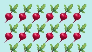 Myślisz, że masz sokoli wzrok? Spróbuj znaleźć buraki, które różnią się od pozostałych.