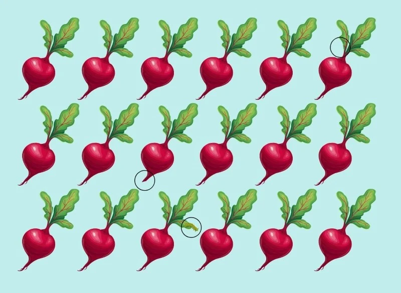 Zagadki optyczne ćwiczą naszą spostrzegawczość