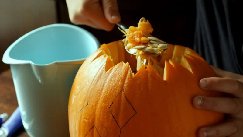 Resztki dyni warto przeznaczyć na kompost