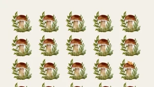 Grzybowa zagadka optyczna.