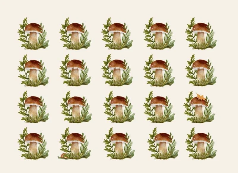 Znajdź 3 inne grzyby i rozwiąż zagadkę optyczną