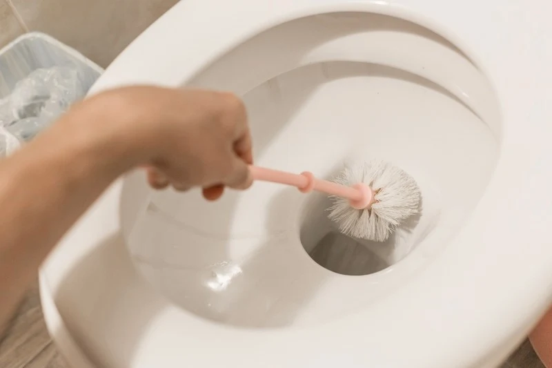 Czyszczenie muszli klozetowej wymaga regularności