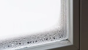 Zaparowane okna to częsty problem w naszych domach, który szczególnie dokucza jesienią i zimą.