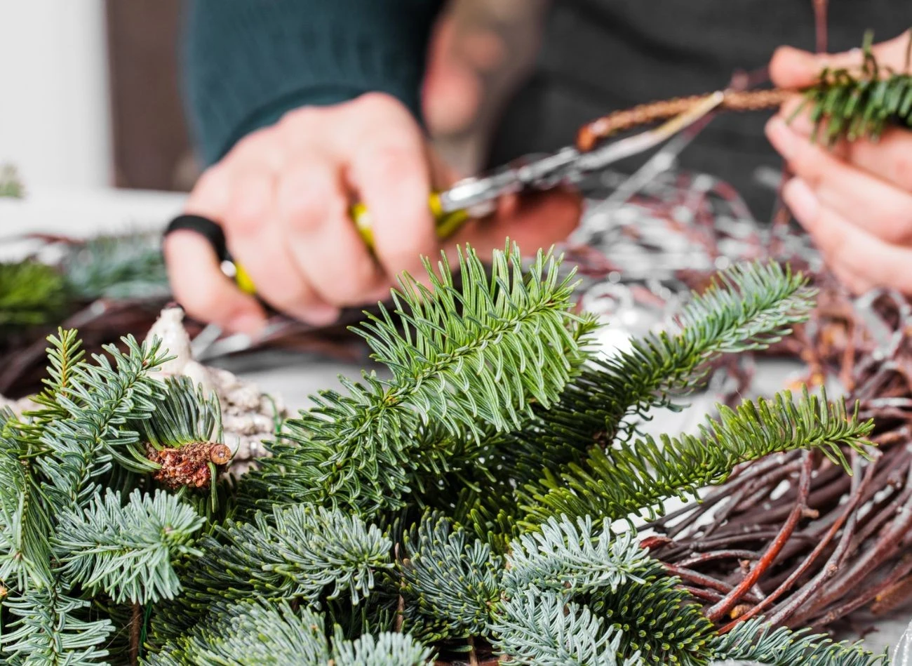 Gałązki jedliny są podstawą do wykonania stroika czy wiązanki na cmentarz