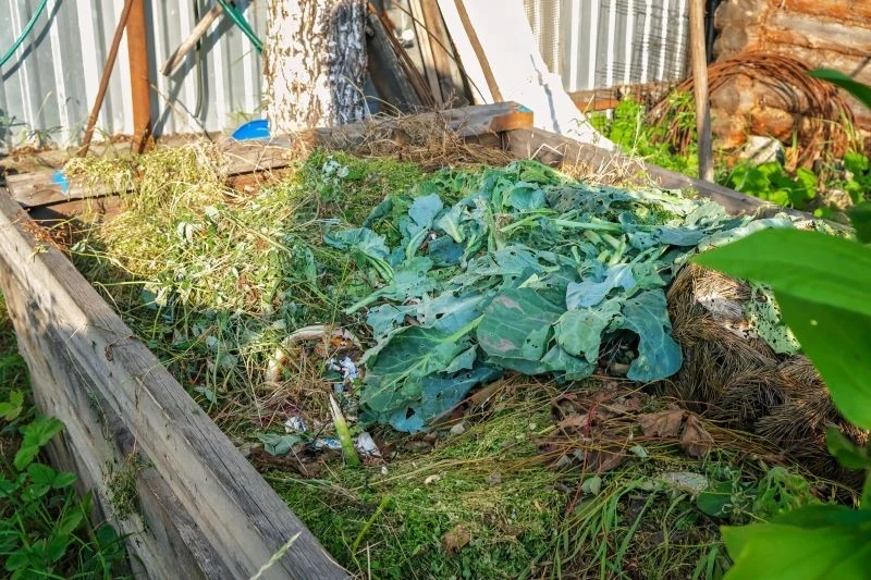 Kilka sztuczek pozwoli otrzymać dojrzały kompost nawet pół roku szybciej