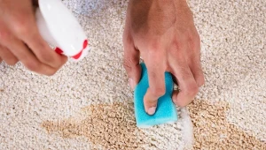 Plamy na dywanie to zmora wielu osób. Sprawdź, jak się ich pozbyć.