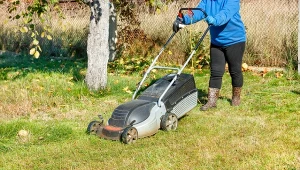 Jak zadbać o trawnik jesienią? Niezbędne prace przed zimą