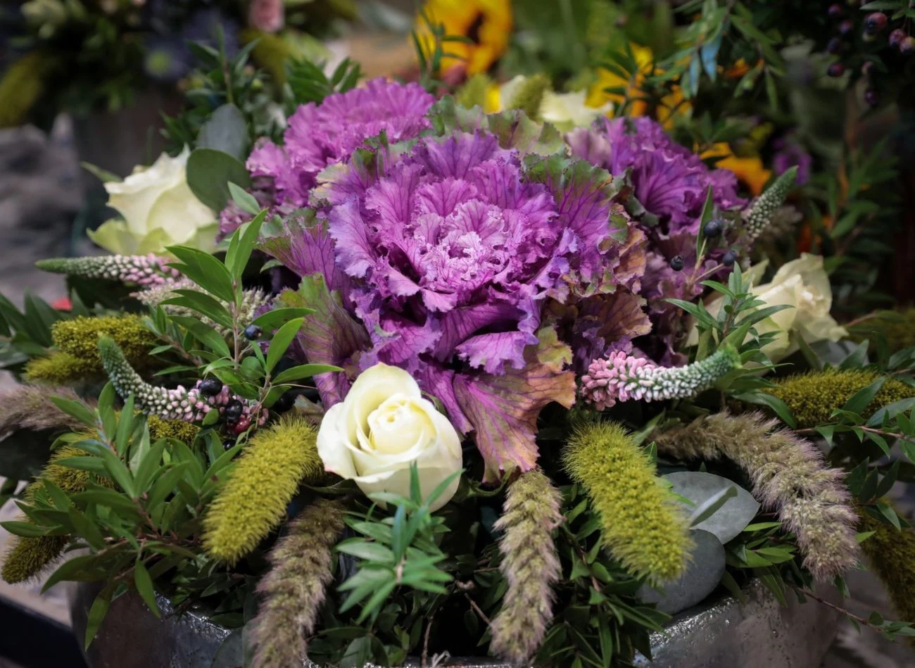 Kapusta dekoracyjna to jedna z najtrwalszych i najbardziej wytrzymałych roślin