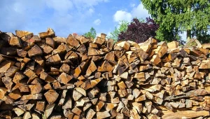 Zanim zdecydujesz się na kupienie drewna opałowego, sprawdź jego energetyczność.