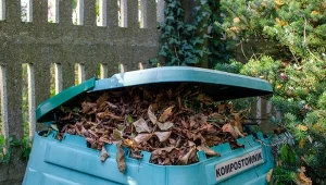 Co zrobić z liśćmi jesienią? Kompostowanie jest jednym z najlepszych rozwiązań.