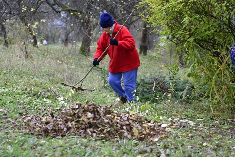 Jesienne liście można wykorzystać na wiele sposobów